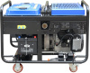 Бензиновый генератор ТСС SGG 12000EH